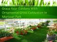 Grace Your Gardens With Ornamental Grass Cultivation In Morisset Park PowerPoint PPT Presentation