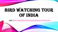 Bird Watching Tour of India PowerPoint PPT Presentation