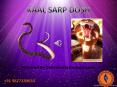 How to get rid of Kaal Sarp Dosh-Astrologer Swami Rudraksh Acharya ji PowerPoint PPT Presentation