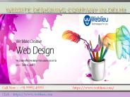 Weblieu Best Web Design Company in Delhi