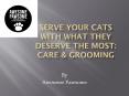 Serve Your Cats With What They Deserve The Most: Care & Grooming PowerPoint PPT Presentation