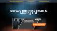 Norway Business Email List | Norwegian B2B Executive Database PowerPoint PPT Presentation