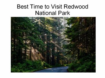 Best Time to visit Redwood National Parks