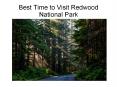 Best Time to visit Redwood National Parks PowerPoint PPT Presentation
