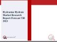 Hydrazine Hydrate Market Research Size, Share, Report, Analysis, Trends & Forecast to 2023 PowerPoint PPT Presentation