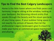 Tips to Find the Best Calgary Landscapers