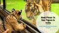 Best Place To See Tigers In India PowerPoint PPT Presentation
