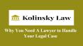 Why You Need A Lawyer to Handle Your Legal Case PowerPoint PPT Presentation
