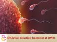 Ovulation Induction Treatment PowerPoint PPT Presentation