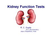 Kidney function tests