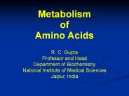 Metabolism of amino acids