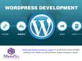 Choosing Wordpress Development For Business Sites - Matebiz India PowerPoint PPT Presentation