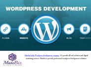 Choosing Wordpress Development For Business Sites - Matebiz India