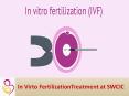 Ivf in vitro fertilization Treatment PowerPoint PPT Presentation