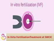 Ivf in vitro fertilization Treatment