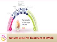 Natural Cycle IVF