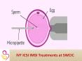 IVF ICSI IMSI treatment PowerPoint PPT Presentation
