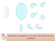 Male infertility patients