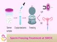 Sperm Freezing Treatment PowerPoint PPT Presentation