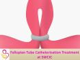 Fallopian Tube Catheterisation Treatment PowerPoint PPT Presentation