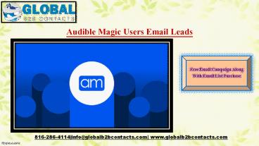 Audible Magic Users Email Leads