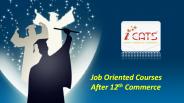 Job Oriented Courses After 12th Commerce-Nilaya iCATS