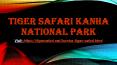 Tiger safari kanha national park PowerPoint PPT Presentation