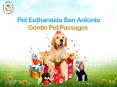 Pet Euthanasia San Antonio PowerPoint PPT Presentation
