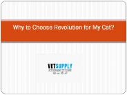Why to Choose Revolution for My Cat?