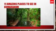 11 AMAZING PLACES TO SEE IN KUMARAKOM