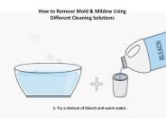 How to Remove Mold & Mildew Using Different Cleaning Solutions