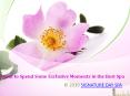 Want to Spend Some Exclusive Moments in the Best Spa PowerPoint PPT Presentation