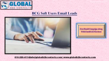 BCGSoft Users Email  Leads