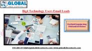 Big4 Technology Users Email Leads