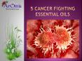 5 Cancer Fighting Essential Oils PowerPoint PPT Presentation