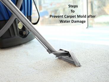 Steps to Prevent Carpet Mold after Water Damage