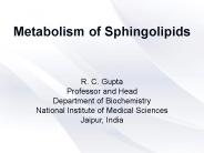 Metabolism of sphingolipids