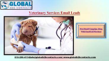 Veterinary Services Email  Leads