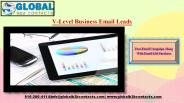 V-Level Business Email Leads