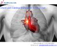 Chest and Cardiac Surgeons Email List | Surgeons List in USA PowerPoint PPT Presentation