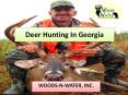 Deer Hunting In Georgia PowerPoint PPT Presentation