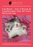 Cat Hotel – For A Warm & Comfortable Stay Of Your Beloved Cats PowerPoint PPT Presentation