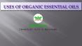 Uses of Organic Essential Oils in India PowerPoint PPT Presentation