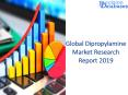 Segmentation of Dipropylamine Market 2019 By Type, Application & Regions PowerPoint PPT Presentation