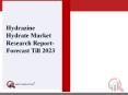 Hydrazine Hydrate Market 2019 Global Market Challenge, Driver, Trends & Forecast to 2023 PowerPoint PPT Presentation