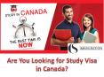 Are Looking for Study Visa in Canada? PowerPoint PPT Presentation