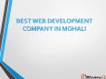 Best Web Development Company In Chandigarh PowerPoint PPT Presentation