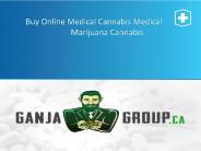 Ganja Group