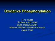 Oxidative phosphorylation