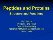 Structure and functions of peptides and proteins